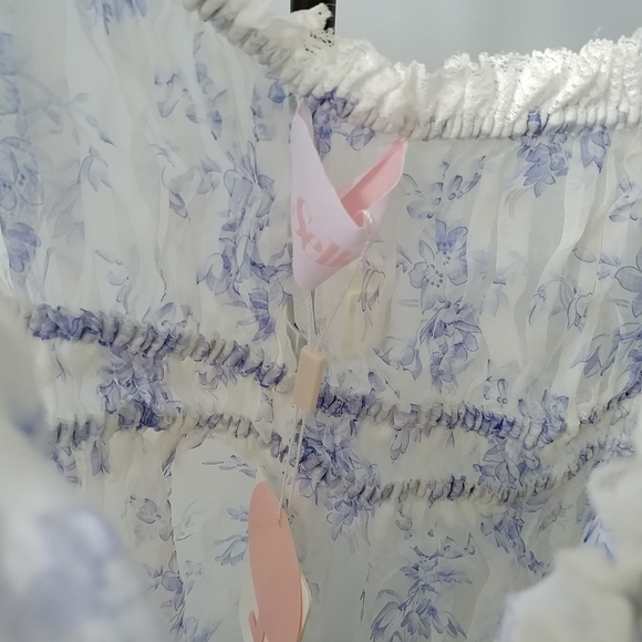 Selkie Bed & Breakfast Silk Gauze Boudoir Dress - 1X / NWT - Picture 7 of 9